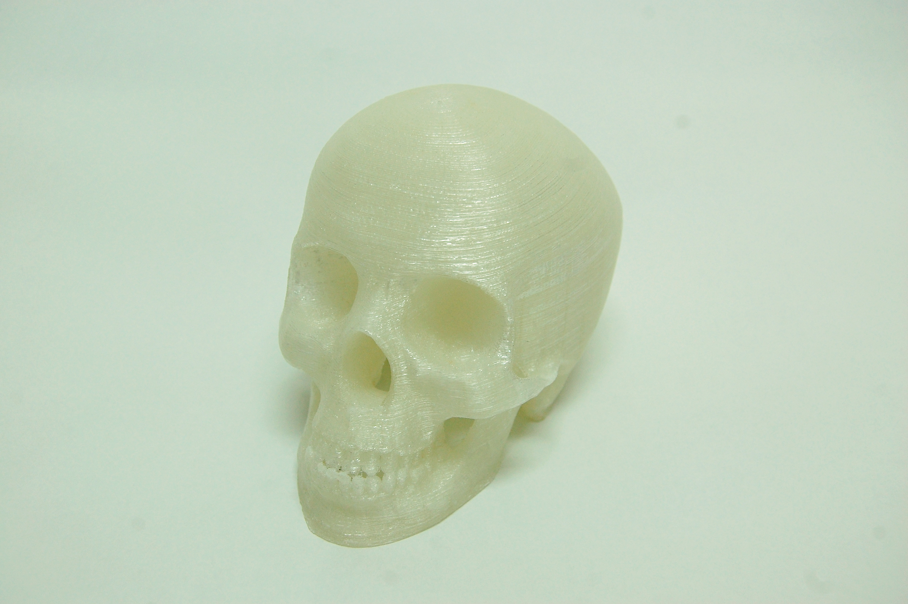 skull2.jpg